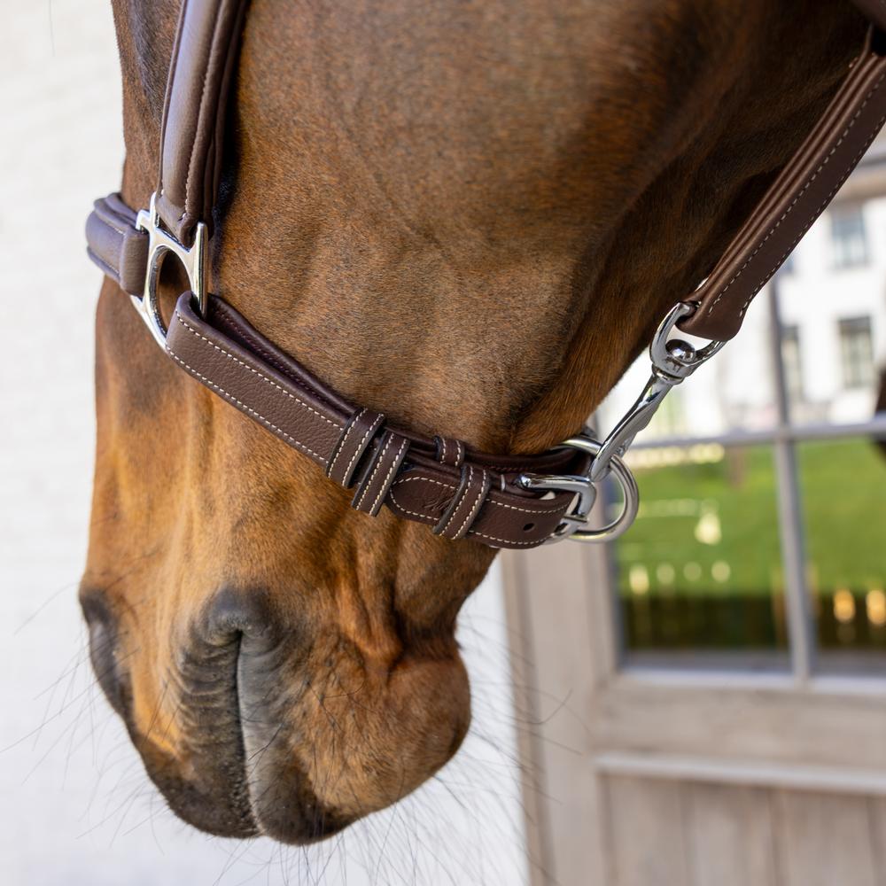 Dy'on Soft Leather Halter - Equiluxe Tack