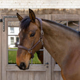 Dy'on Soft Leather Halter - Equiluxe Tack