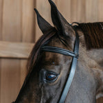 Dy'on Training Bridle Pony - Equiluxe Tack