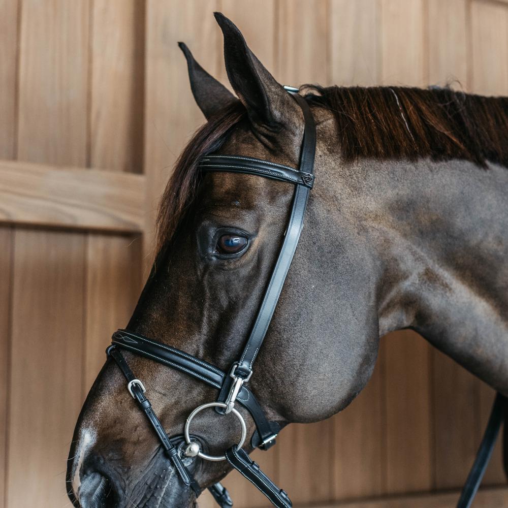 Dy'on Training Bridle Pony - Equiluxe Tack