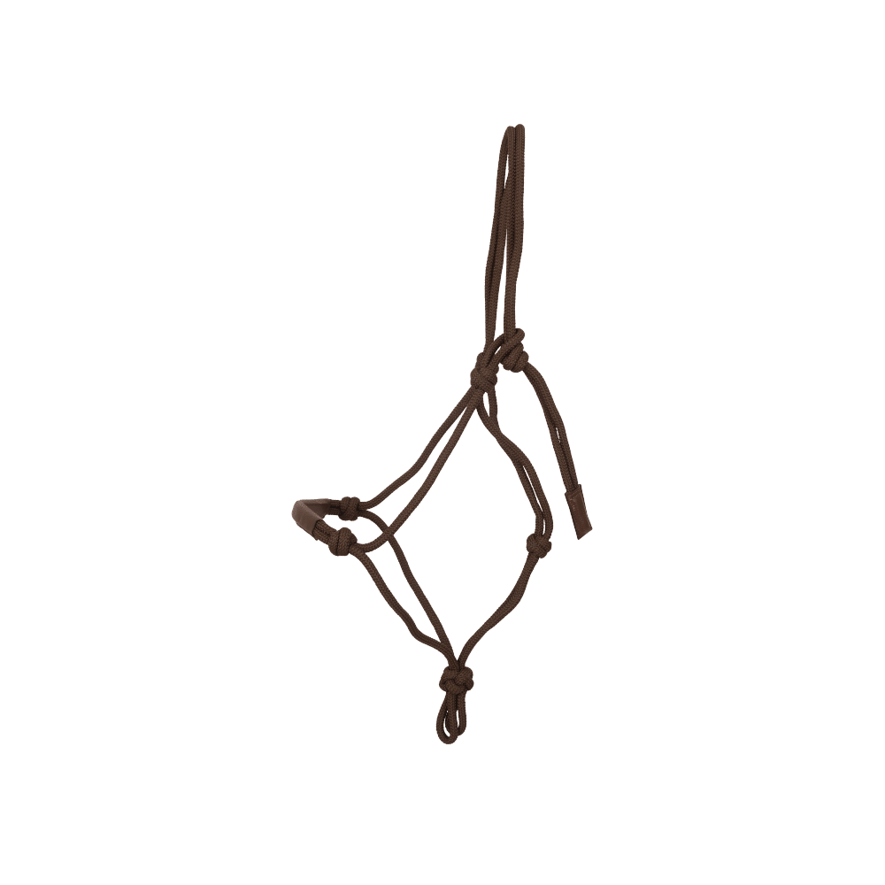 Dy'on Training Halter - Equiluxe Tack