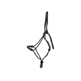 Dy'on Training Halter - Equiluxe Tack