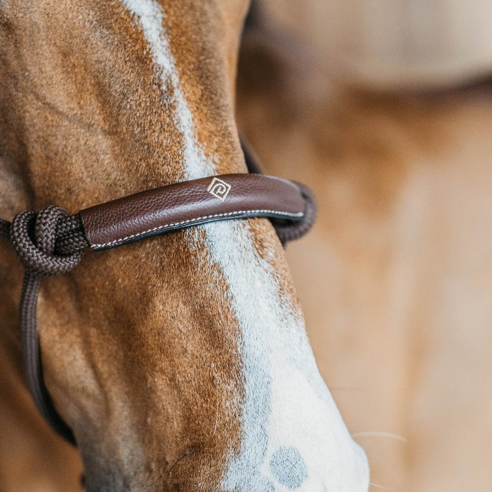 Dy'on Training Halter - Equiluxe Tack