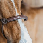 Dy'on Training Halter - Equiluxe Tack