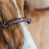 Dy'on Training Halter - Equiluxe Tack