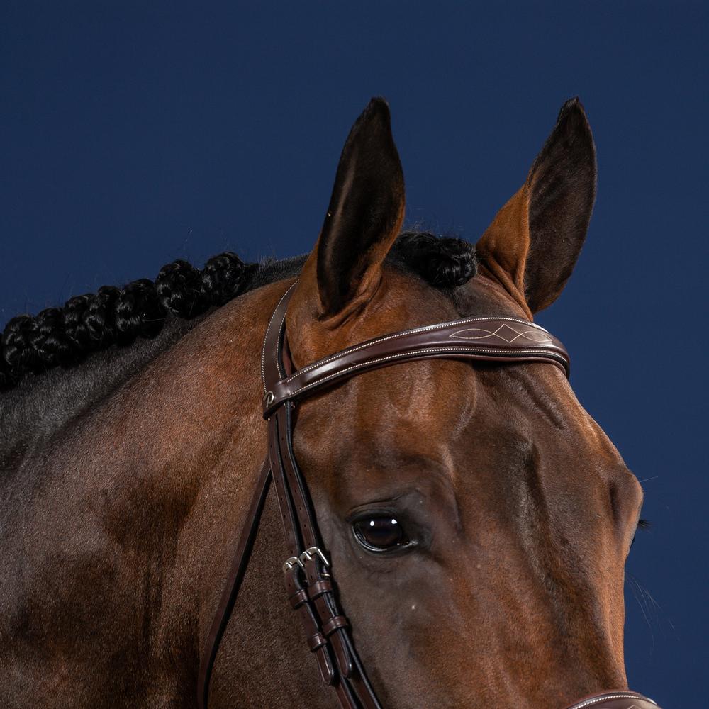 Dy'on US Collection Anatomic Browband - Equiluxe Tack