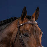 Dy'on US Collection Anatomic Browband - Equiluxe Tack
