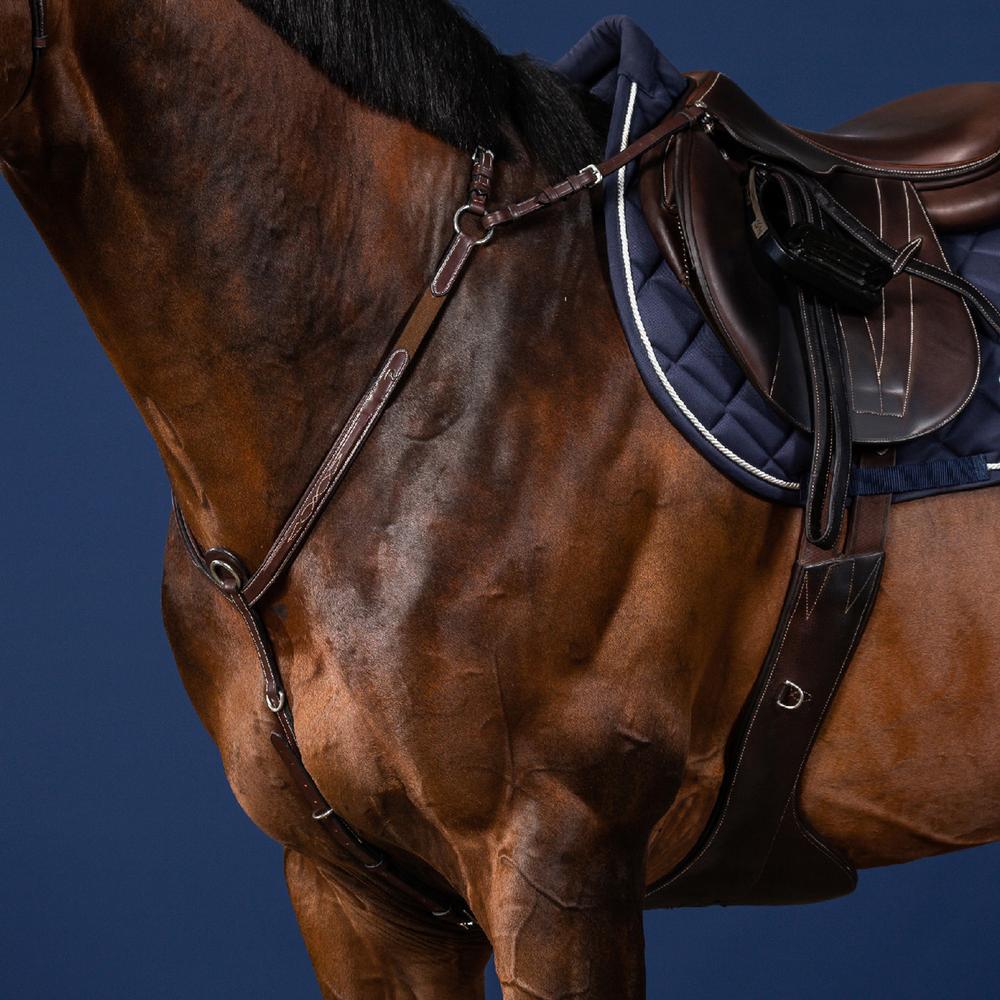 Dy'on US Collection Bridge Breastplate - Equiluxe Tack