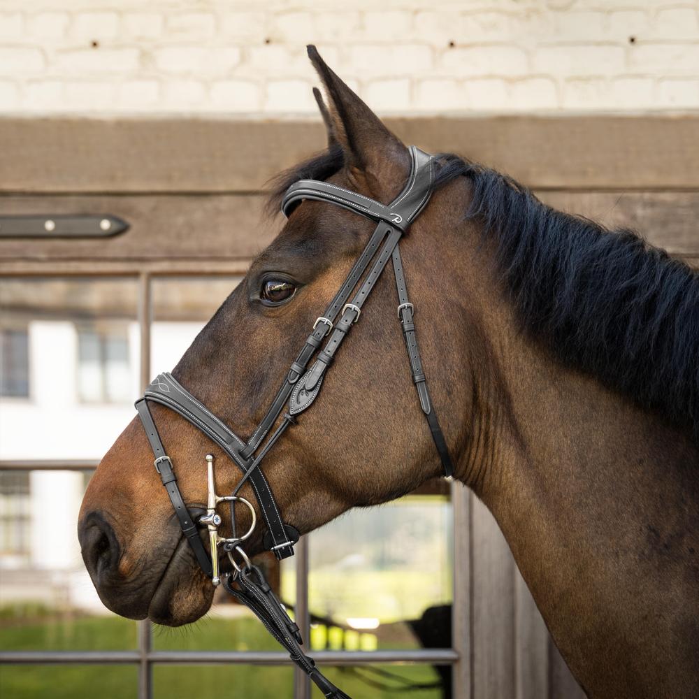 Dy'on US Collection Gag Cheekpieces - Equiluxe Tack