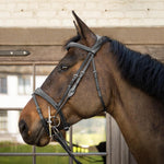Dy'on US Collection Gag Cheekpieces - Equiluxe Tack