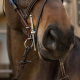Dy'on US Collection Gag Cheekpieces - Equiluxe Tack