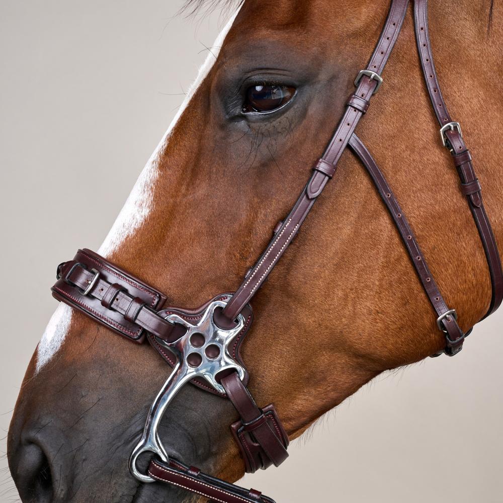 Dy'on US Collection Hackamore Bridle - Equiluxe Tack