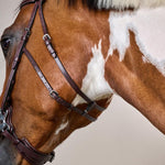 Dy'on US Collection Hackamore Bridle - Equiluxe Tack
