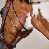 Dy'on US Collection Hackamore Bridle - Equiluxe Tack