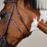 Dy'on US Collection Hackamore Bridle - Equiluxe Tack