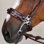 Dy'on US Collection Hackamore Bridle - Equiluxe Tack