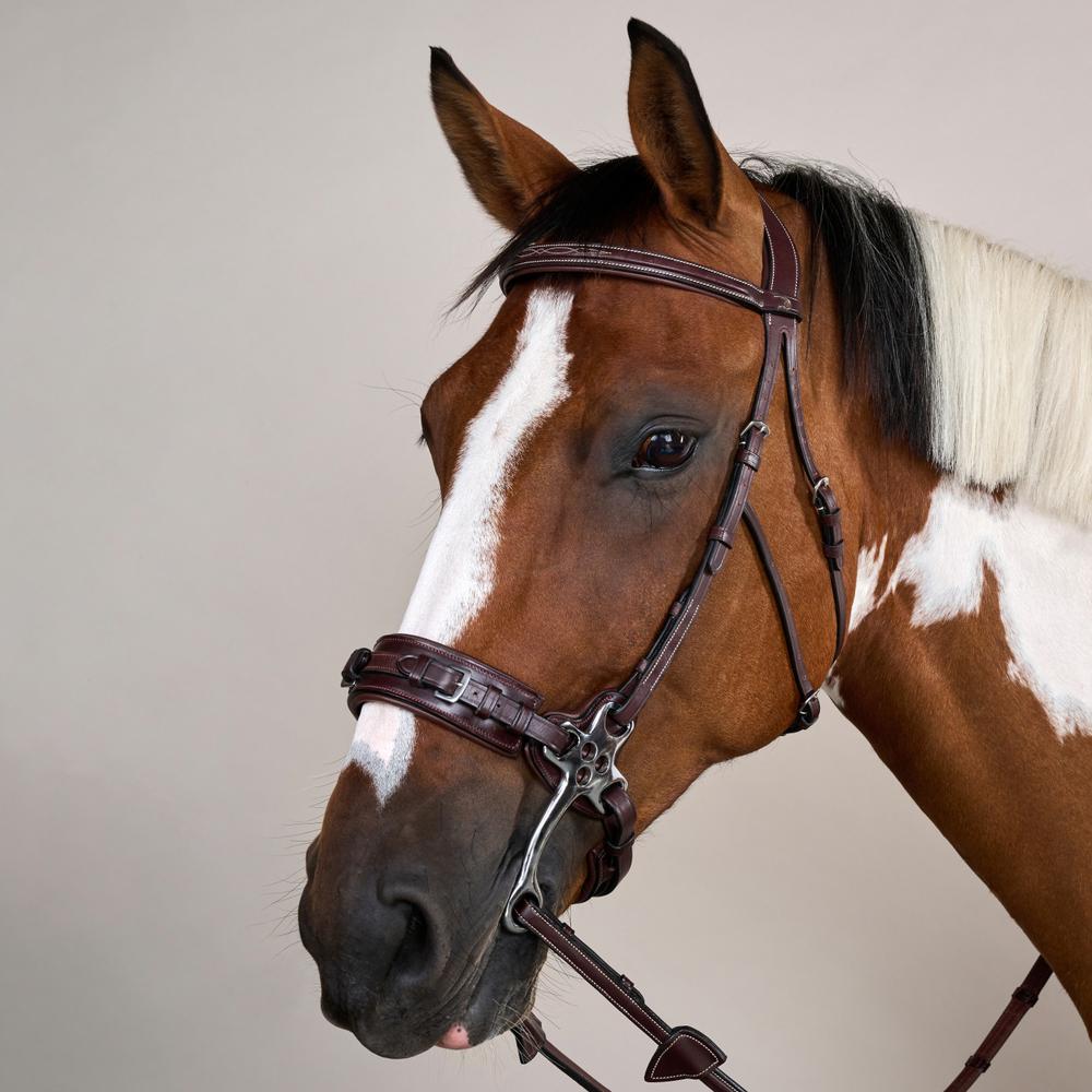 Dy'on US Collection Hackamore Bridle - Equiluxe Tack