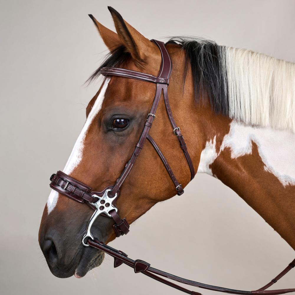 Dy'on US Collection Hackamore Bridle - Equiluxe Tack