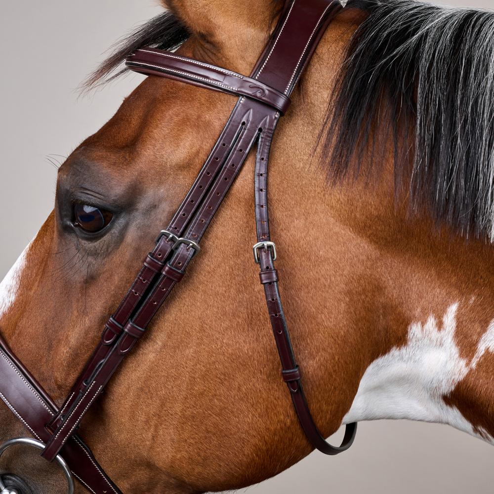 Dy'on US Collection Wide Noseband Hunter Bridle - Equiluxe Tack
