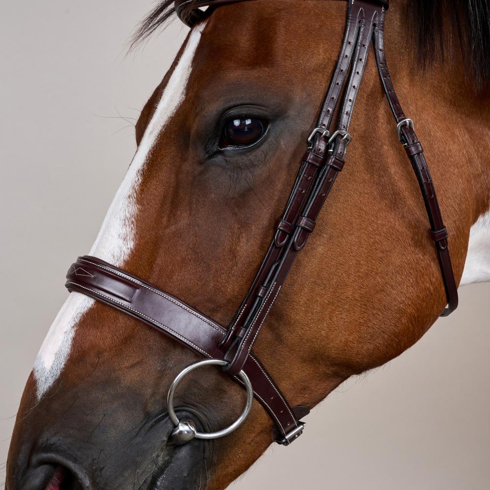 Dy'on US Collection Wide Noseband Hunter Bridle - Equiluxe Tack