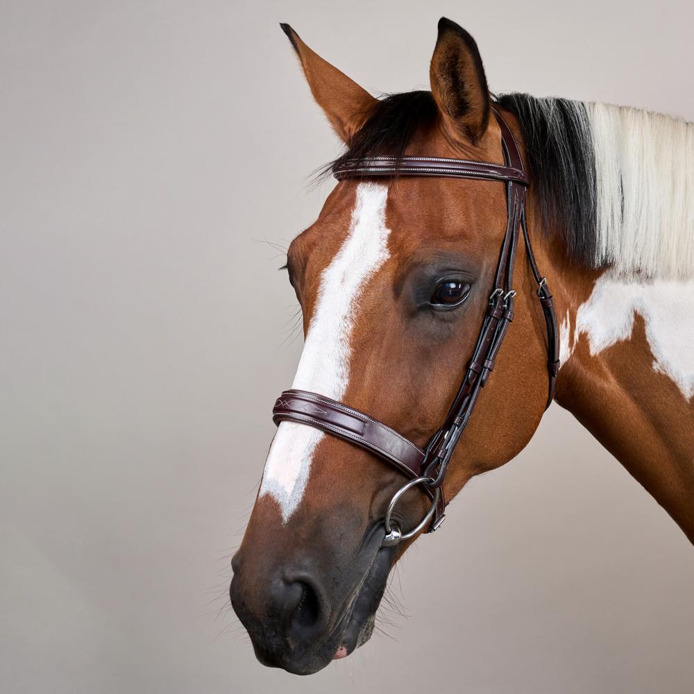 Dy'on US Collection Wide Noseband Hunter Bridle - Equiluxe Tack