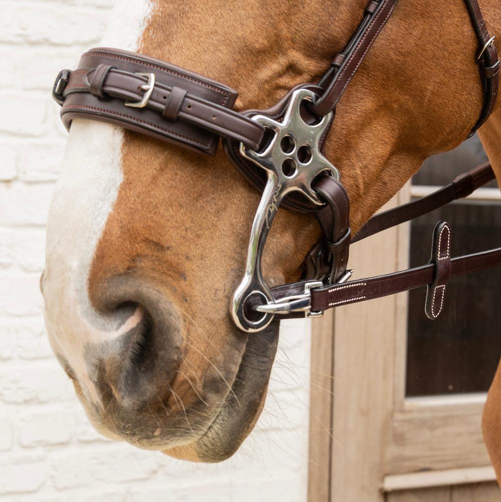 Dy'on Working Collection 5/8" Rubber Reins with Leather Loops and Snaps - Equiluxe Tack