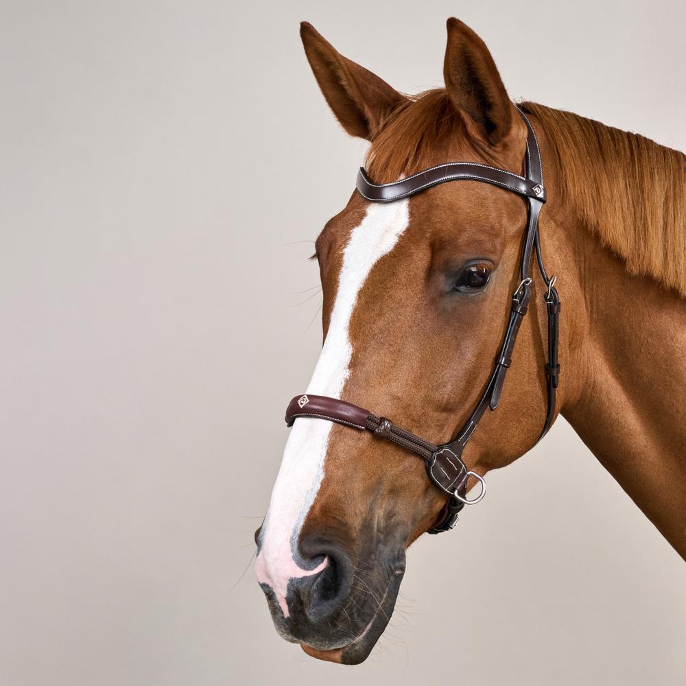Dy'on Working Collection Bitless Bridle - Equiluxe Tack