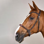 Dy'on Working Collection Bitless Bridle - Equiluxe Tack