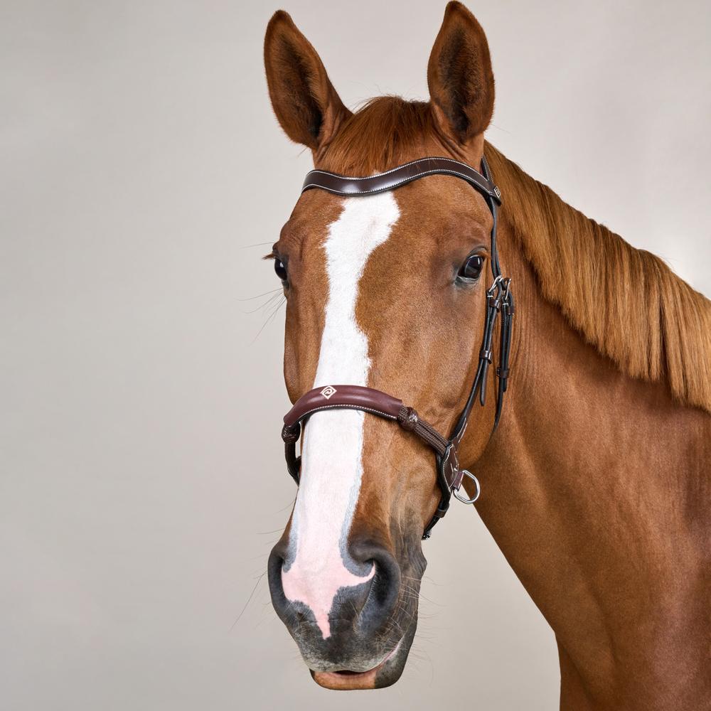 Dy'on Working Collection Bitless Bridle - Equiluxe Tack