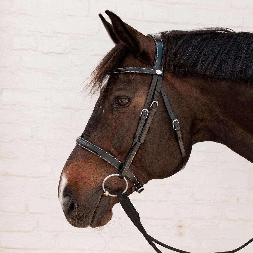 Dy'on Working Collection Cavesson Hunter Bridle - Equiluxe Tack