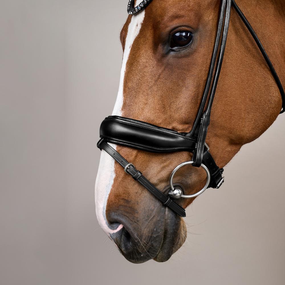 Dy'on Working Collection ComfoHead Bridle - Equiluxe Tack