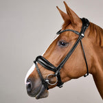 Dy'on Working Collection ComfoHead Bridle - Equiluxe Tack