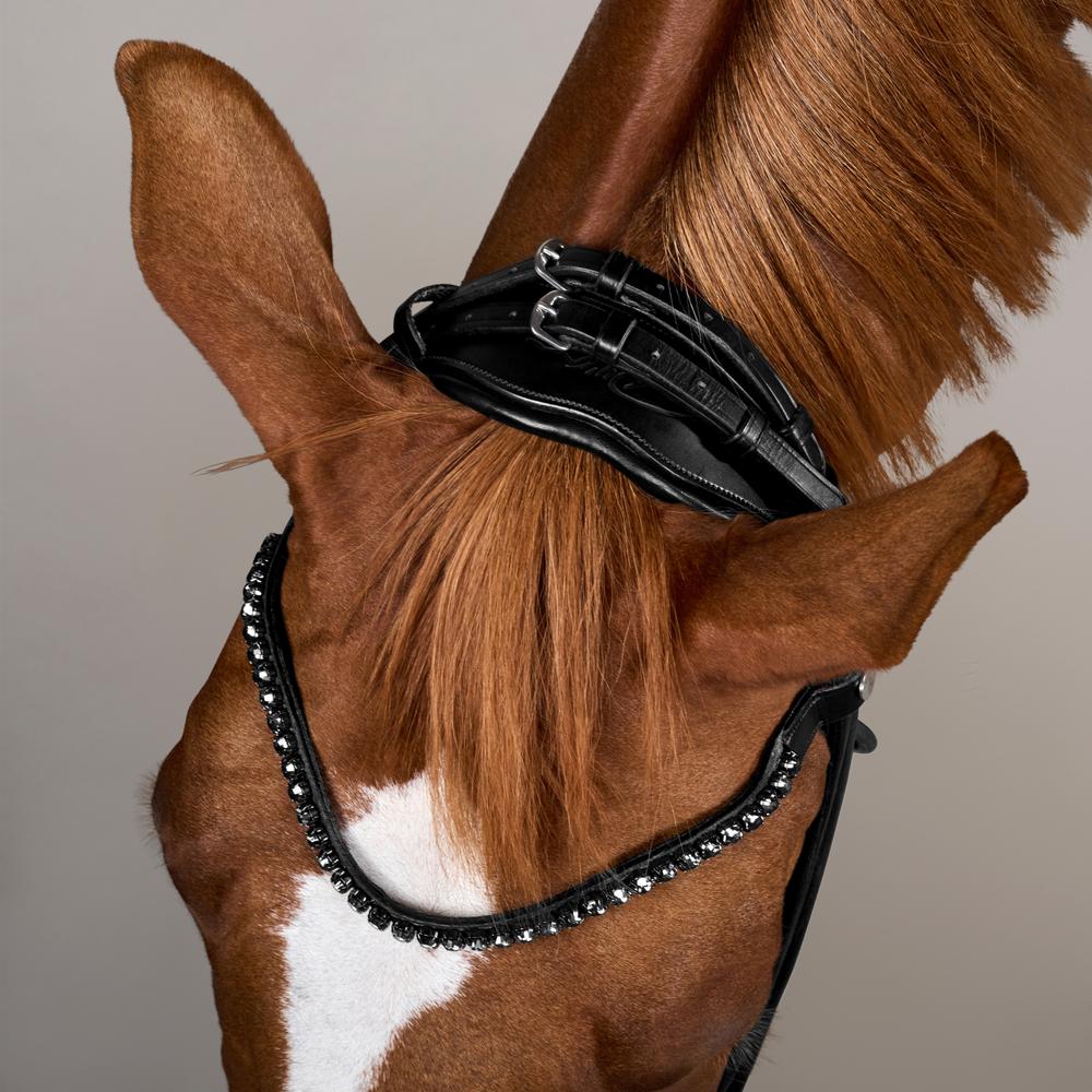 Dy'on Working Collection ComfoHead Bridle - Equiluxe Tack