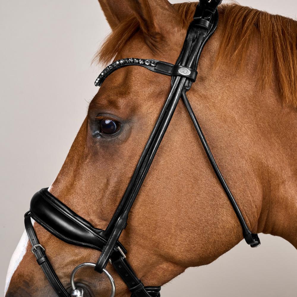 Dy'on Working Collection ComfoHead Bridle - Equiluxe Tack