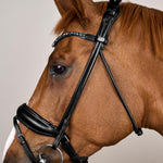 Dy'on Working Collection ComfoHead Bridle - Equiluxe Tack