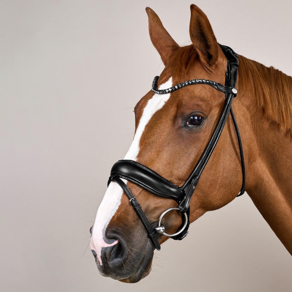 Dy'on Working Collection ComfoHead Bridle - Equiluxe Tack
