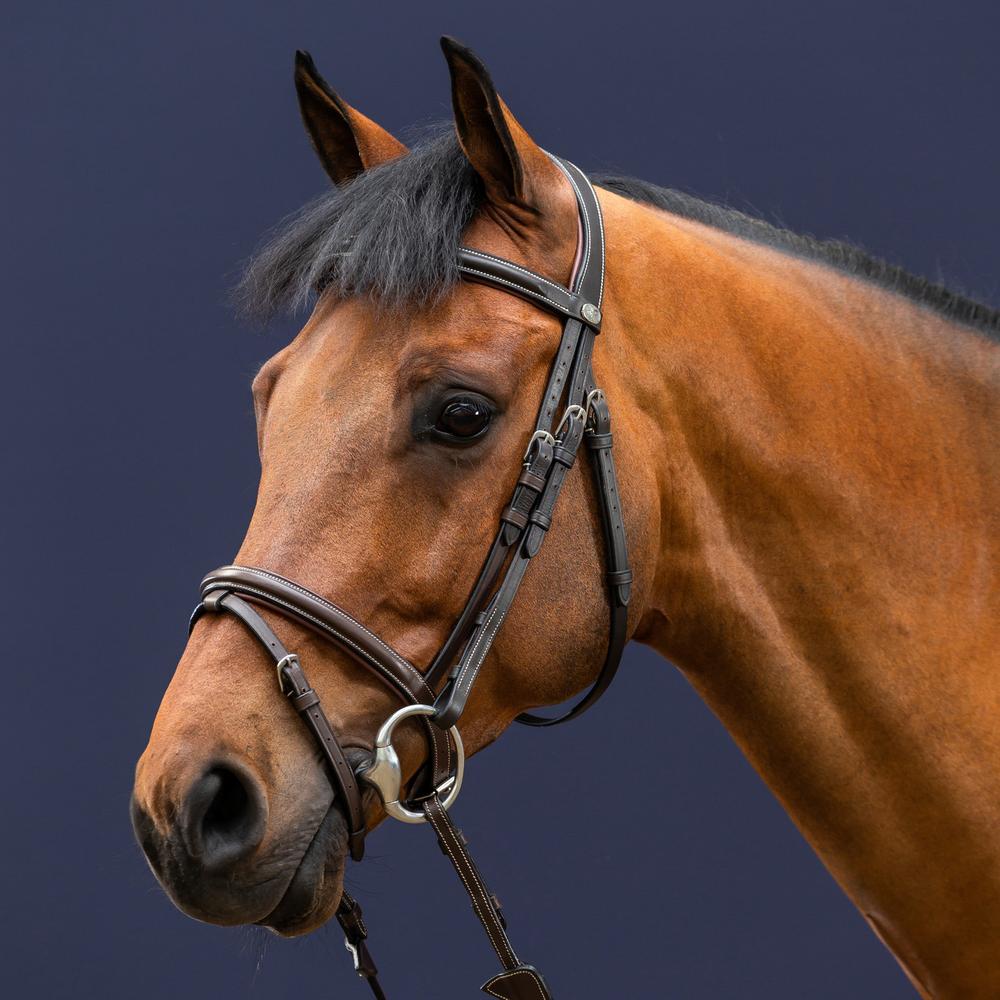 Dy'on Working Collection Flash Noseband Bridle - Equiluxe Tack