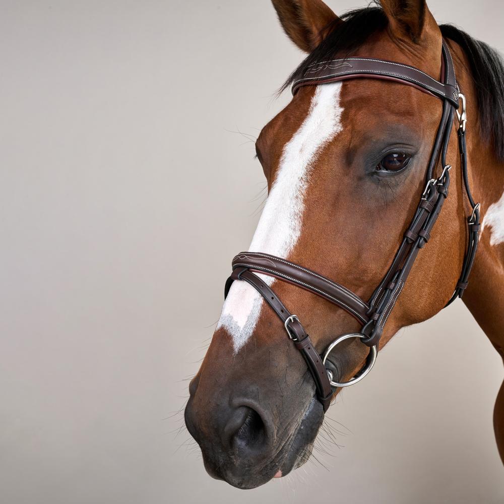 Dy'on Working Collection Flash Noseband Bridle With Snap Hook - Equiluxe Tack