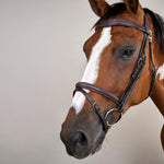 Dy'on Working Collection Flash Noseband Bridle With Snap Hook - Equiluxe Tack
