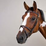 Dy'on Working Collection Flash Noseband Bridle With Snap Hook - Equiluxe Tack