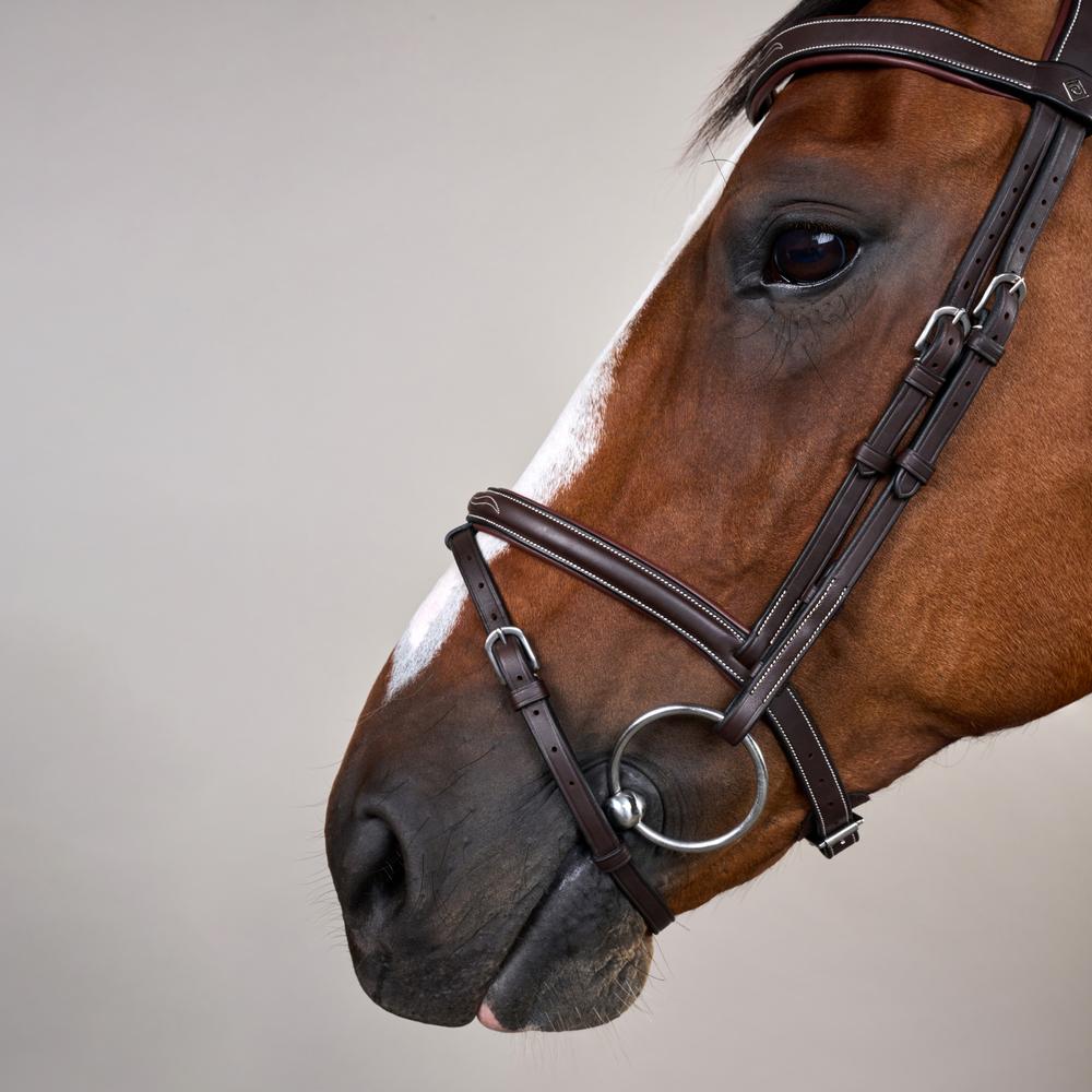 Dy'on Working Collection Flash Noseband Bridle With Snap Hook - Equiluxe Tack
