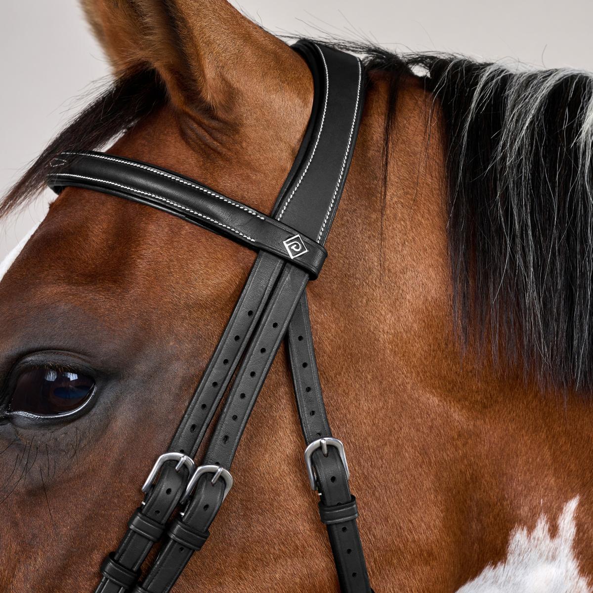 Dy'on Working Collection Flash Noseband Bridle With Snaps - Equiluxe Tack