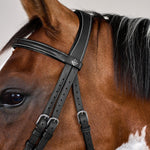 Dy'on Working Collection Flash Noseband Bridle With Snaps - Equiluxe Tack