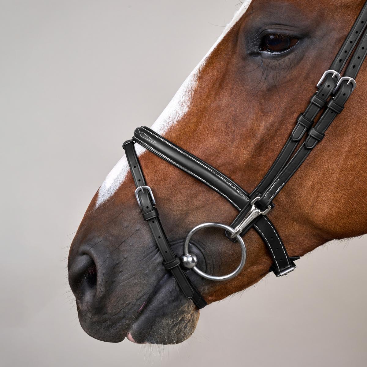 Dy'on Working Collection Flash Noseband Bridle With Snaps - Equiluxe Tack