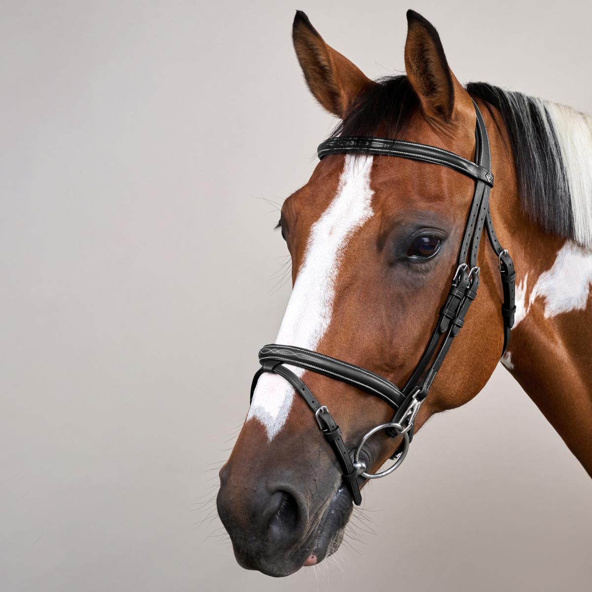 Dy'on Working Collection Flash Noseband Bridle With Snaps - Equiluxe Tack