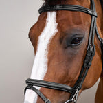 Dy'on Working Collection Flash Noseband Bridle With Snaps - Equiluxe Tack