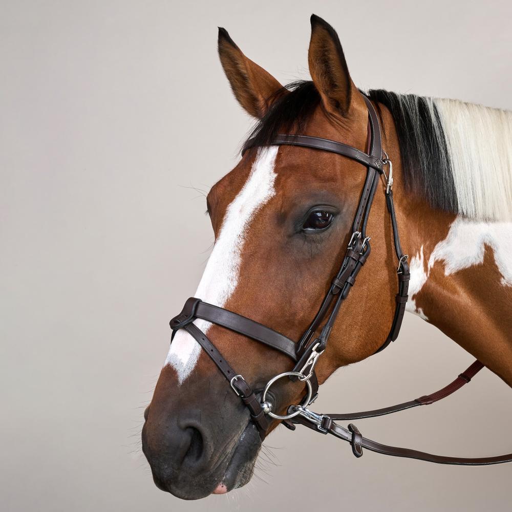 Dy'on Working Collection Flat Leather Bridle With Snap Hooks - Equiluxe Tack