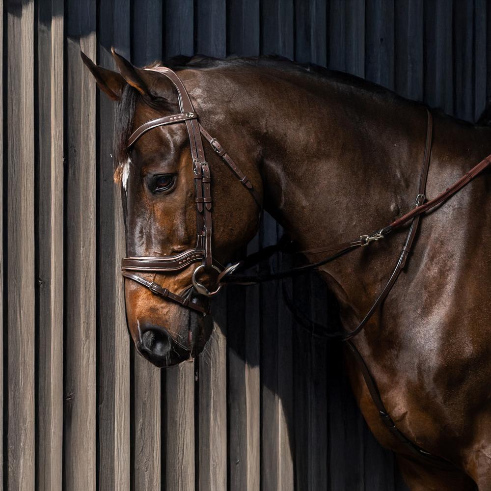 Dy'on Working Collection Full Howlett - Equiluxe Tack