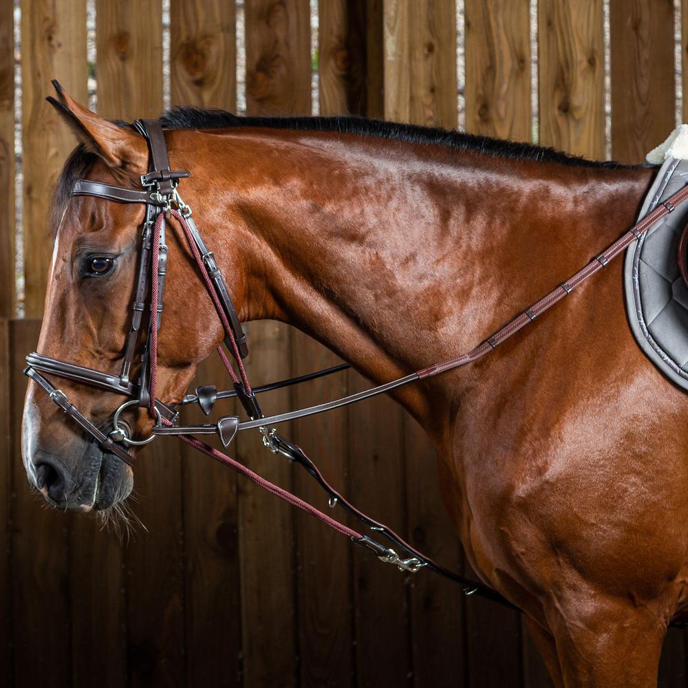 Dy'on Working Collection Gogue Nylon Ropes - Equiluxe Tack