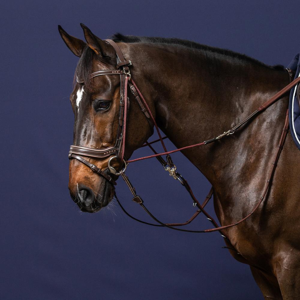Dy'on Working Collection Gogue Reins - Equiluxe Tack